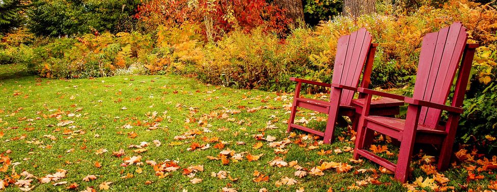 October Yard Care