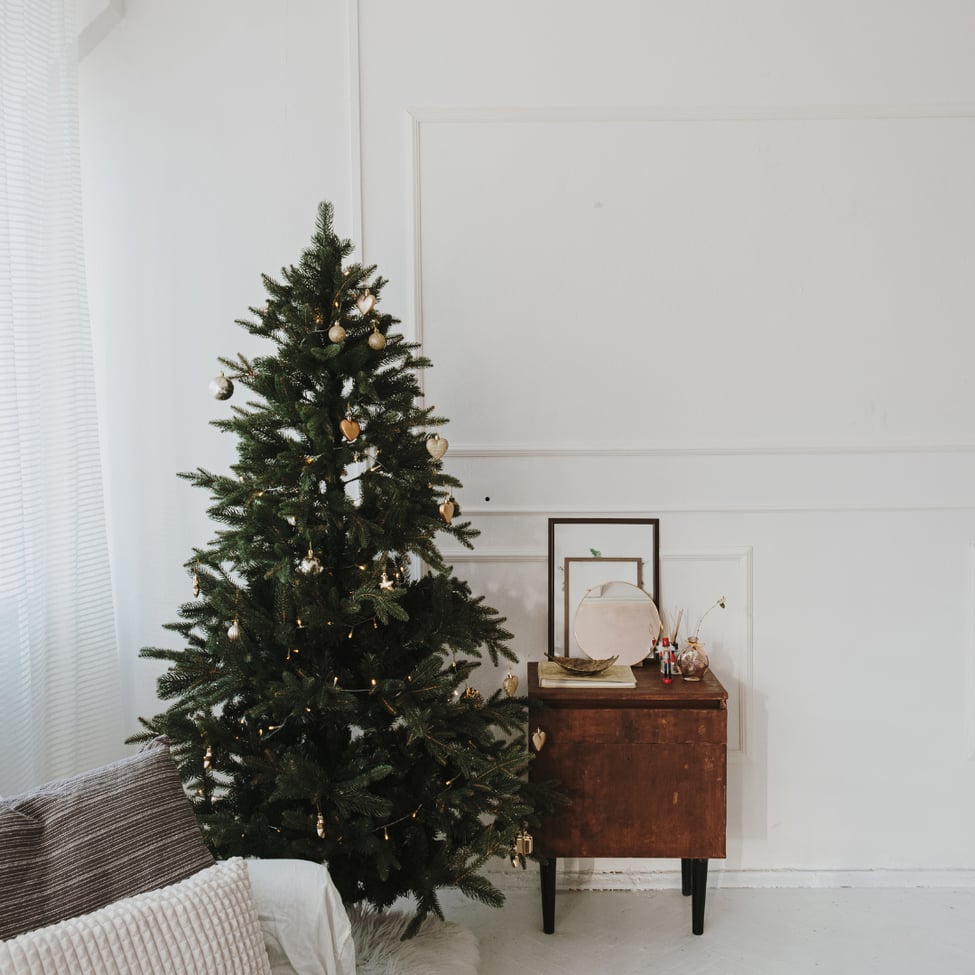  The History of Christmas Lights: Illuminating Our Homes and Hearts