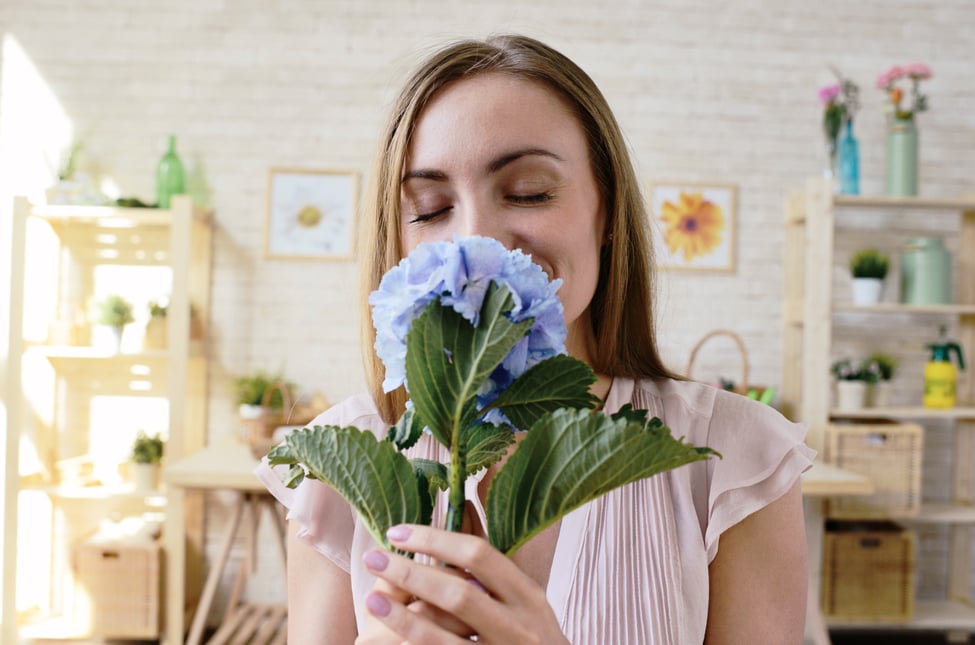 Seasonal Scents: Natural Ways to Freshen Your Home for Spring