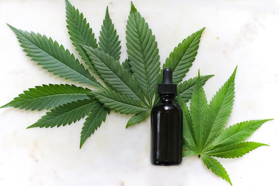 The Cannabis Act: Its Impact on Condos and Family Homes