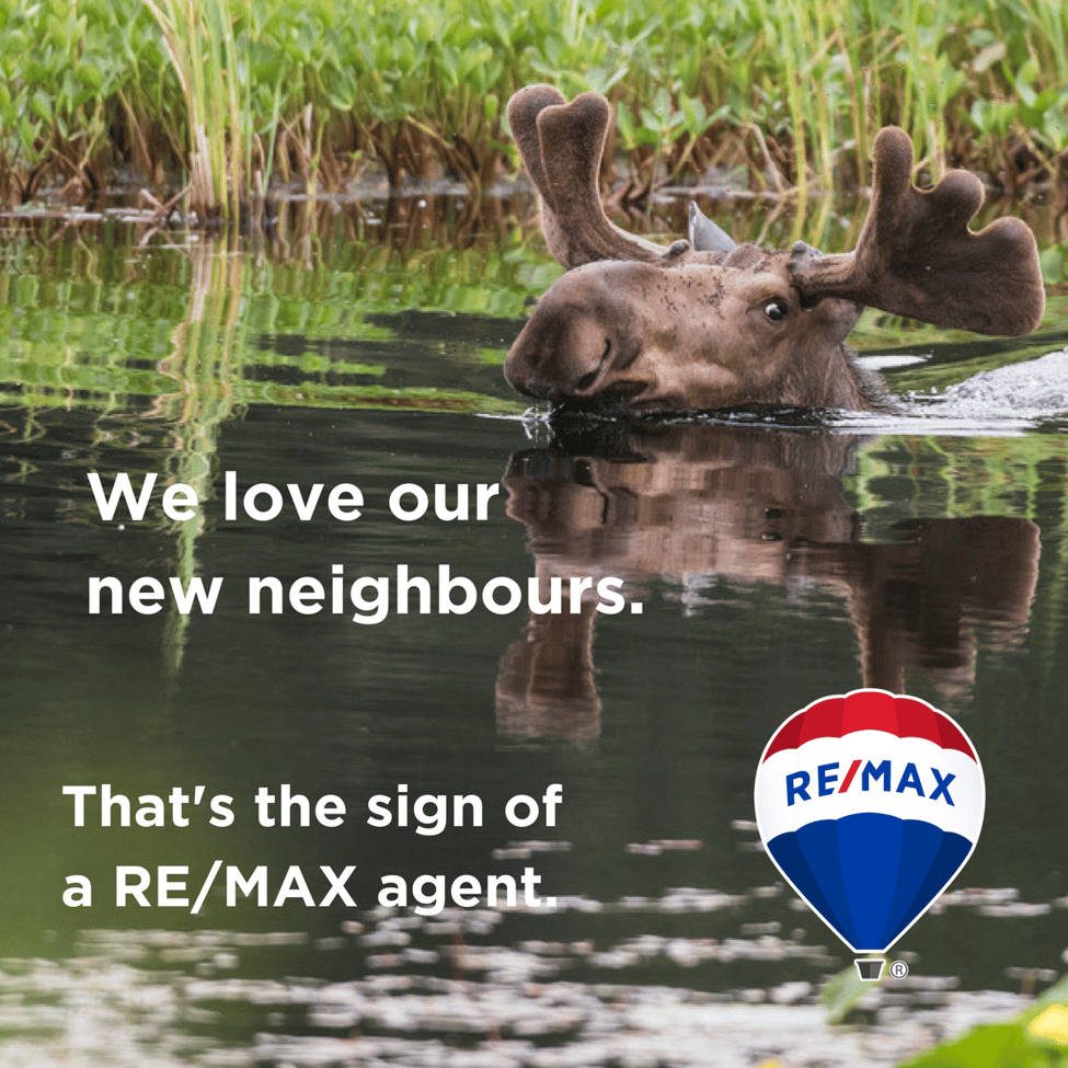 We Know Durham Region Real Estate