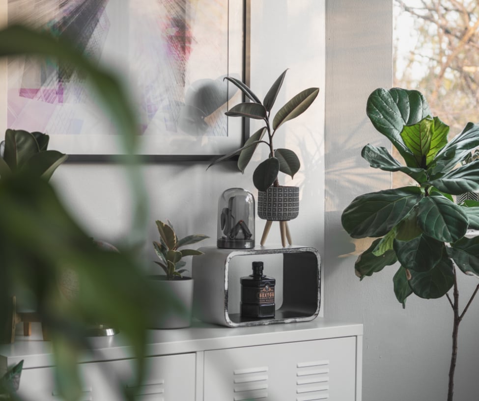 Do I Need Professional Photos to Sell My Sudbury House? | Realtor’s Take