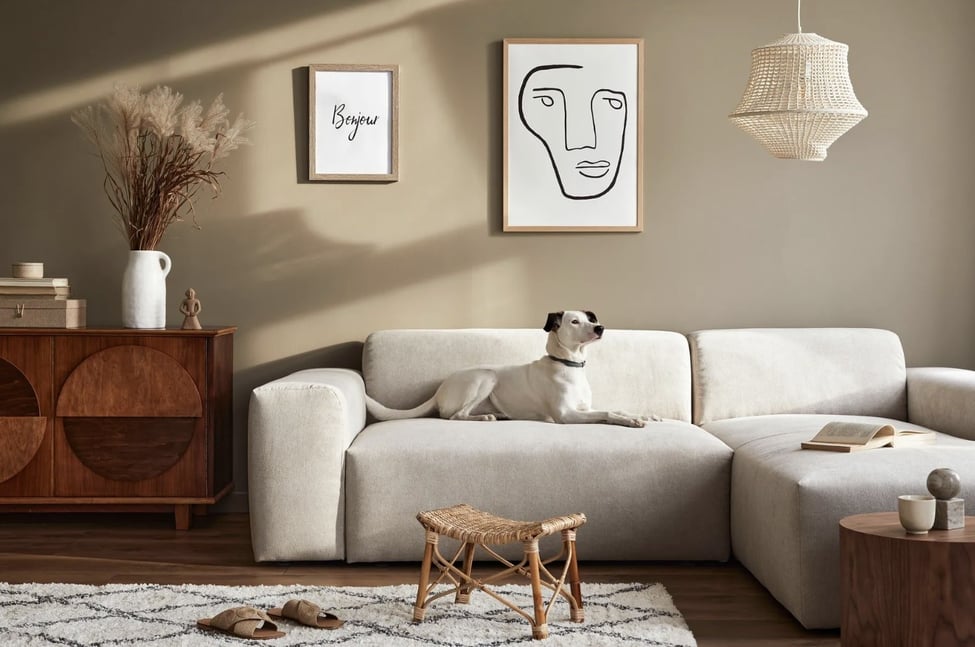 HOME IMPROVEMENT PROJECTS TO COMPLETE IN FEBRUARY