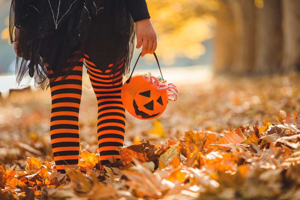 10 neighbourhoods to trick-or-treat in Toronto