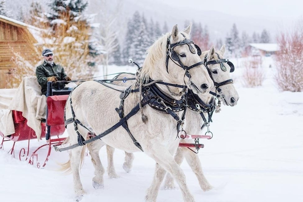 Things to do on Family Day 2024 in Ontario