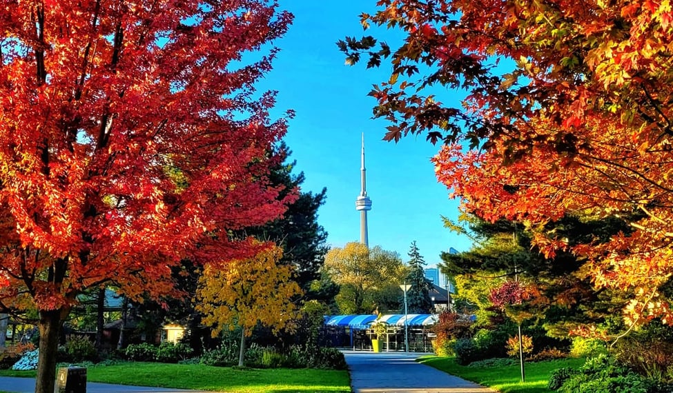 What’s Open and Closed This Thanksgiving Monday in Toronto