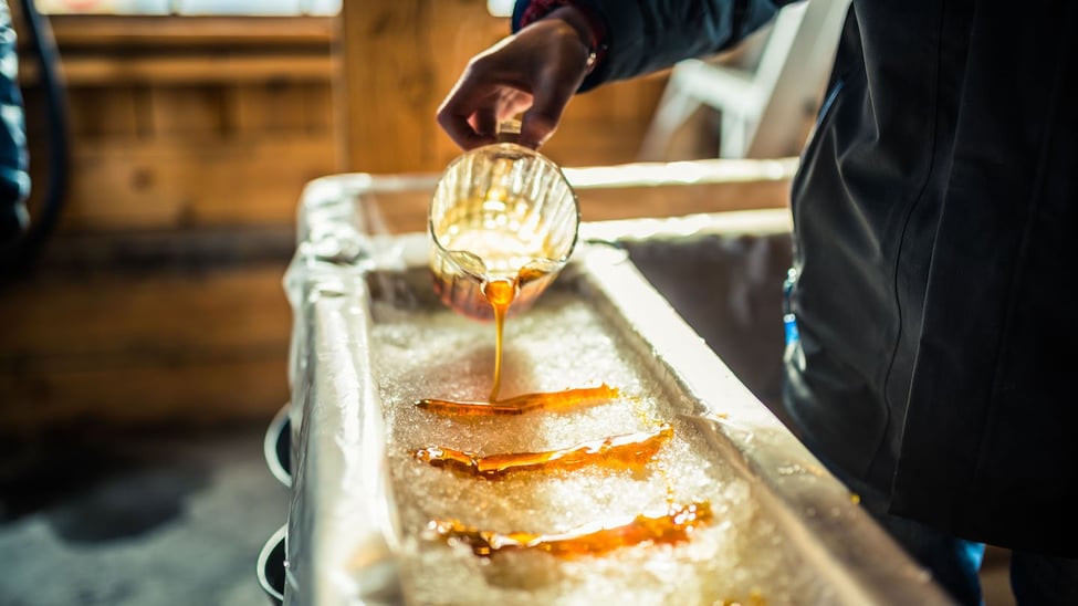 Winter in Toronto: 10 free activities to embrace the season
