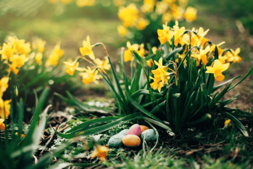 Best Easter Egg Hunts & Events in Ontario 2026: Where to Go This Easter Weekend