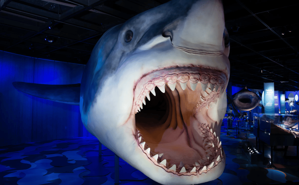 Best Things to Do in Toronto with Kids This March Break