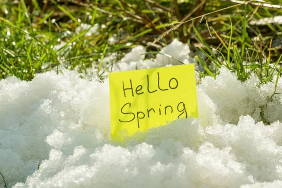 Spring Mortgage Updates!
