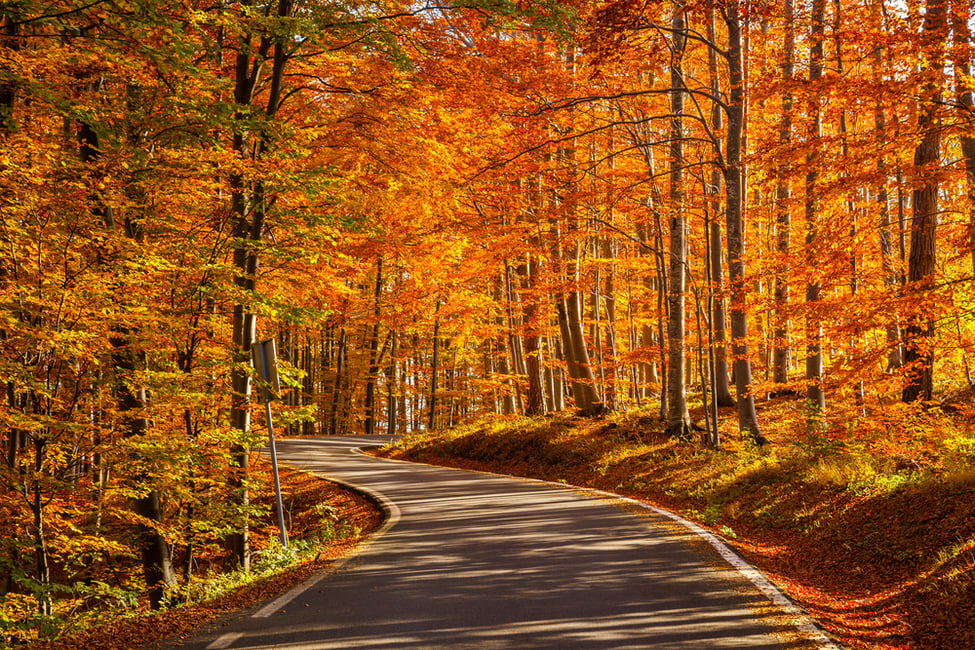10 Road Trips in Ontario for Breathtaking Views of Fall Colours