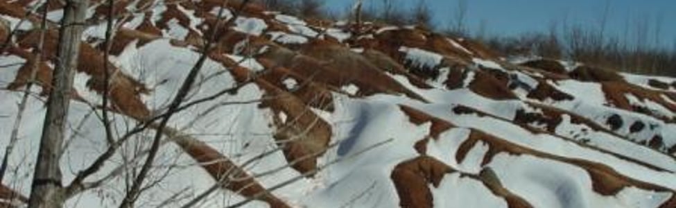Embracing Winter in Caledon
