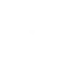 Side Button Icon