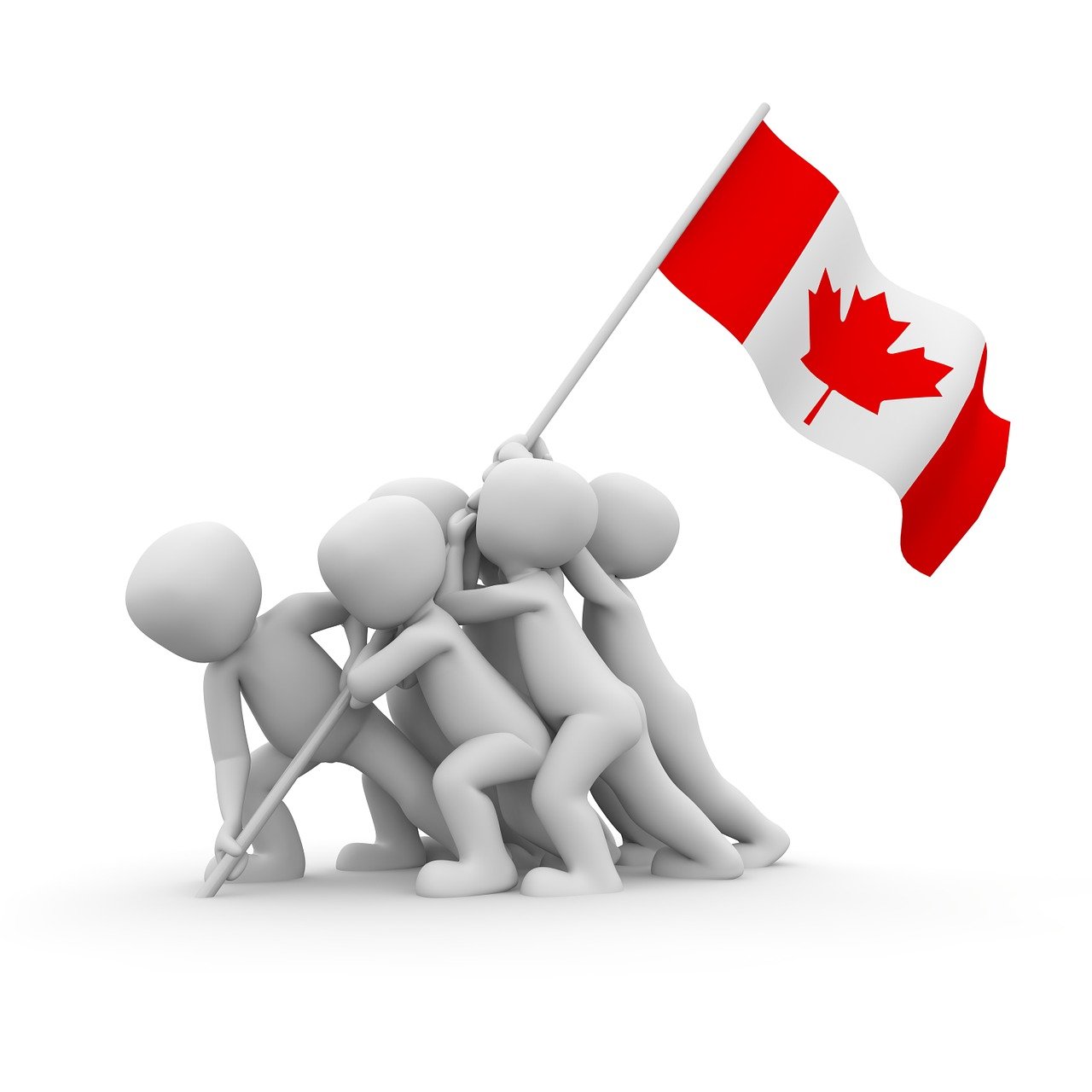 New to Canada