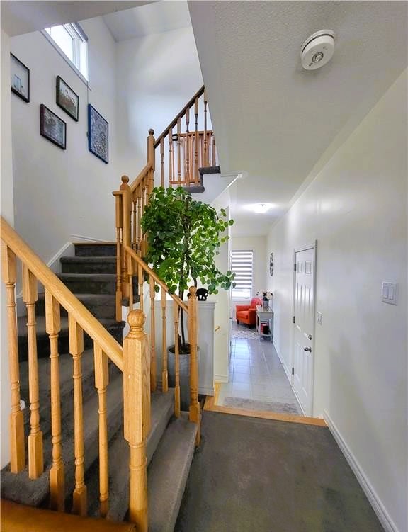 3098 Michelangelo Road