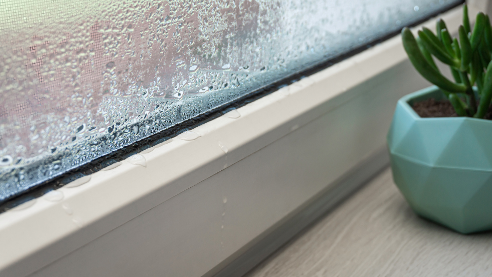 Window Condensation during home inspection