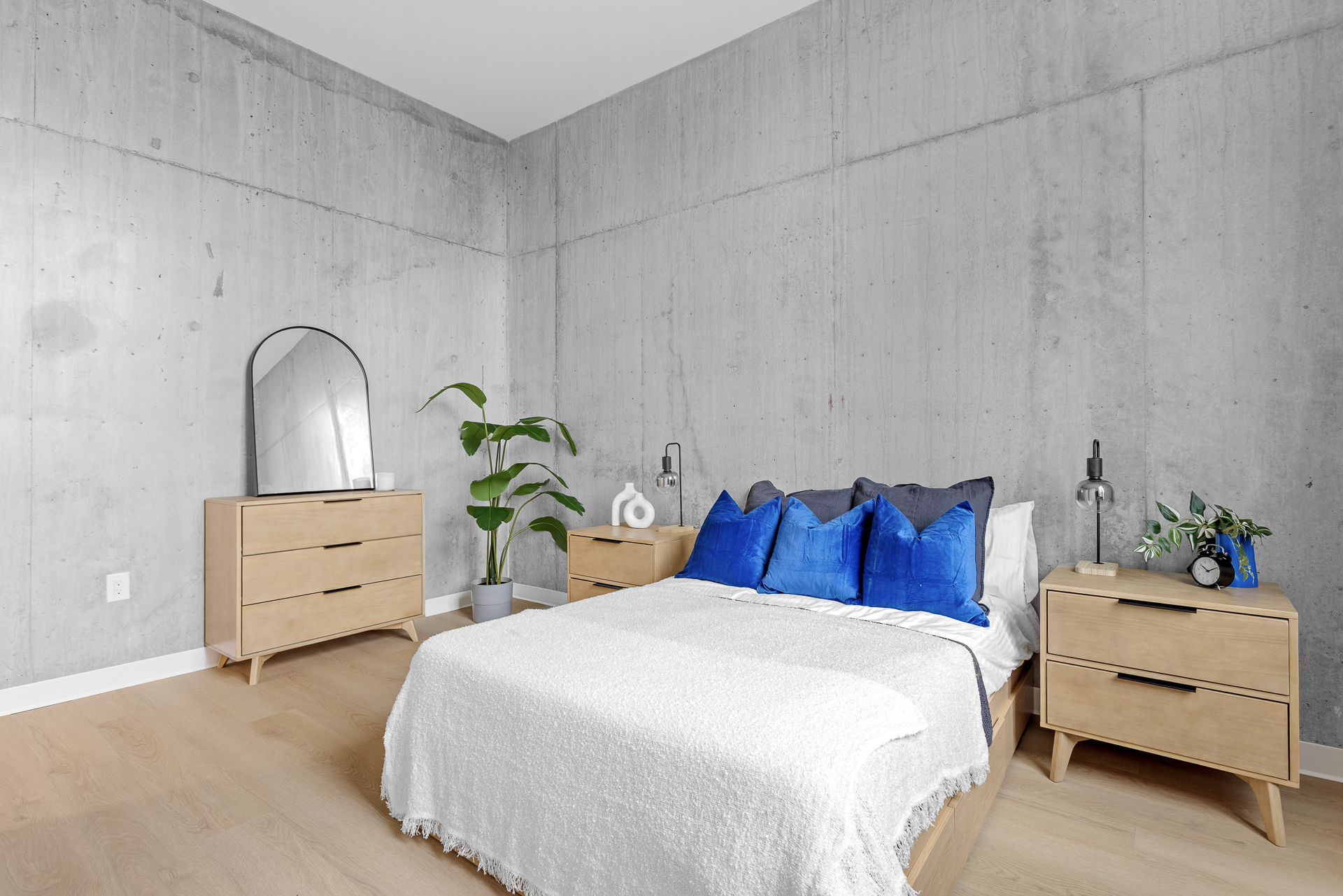 Znith suite