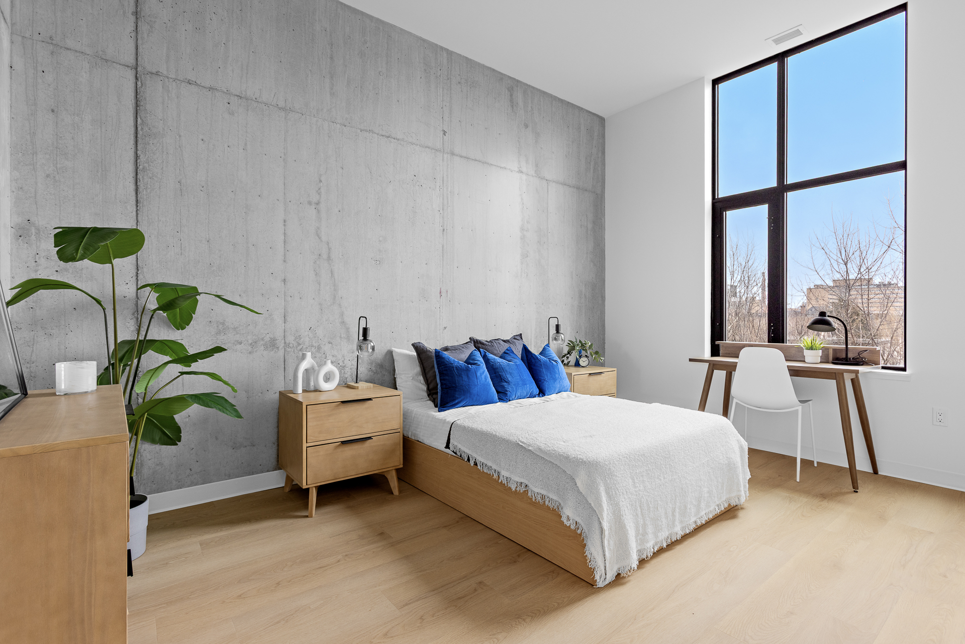 Znith suite