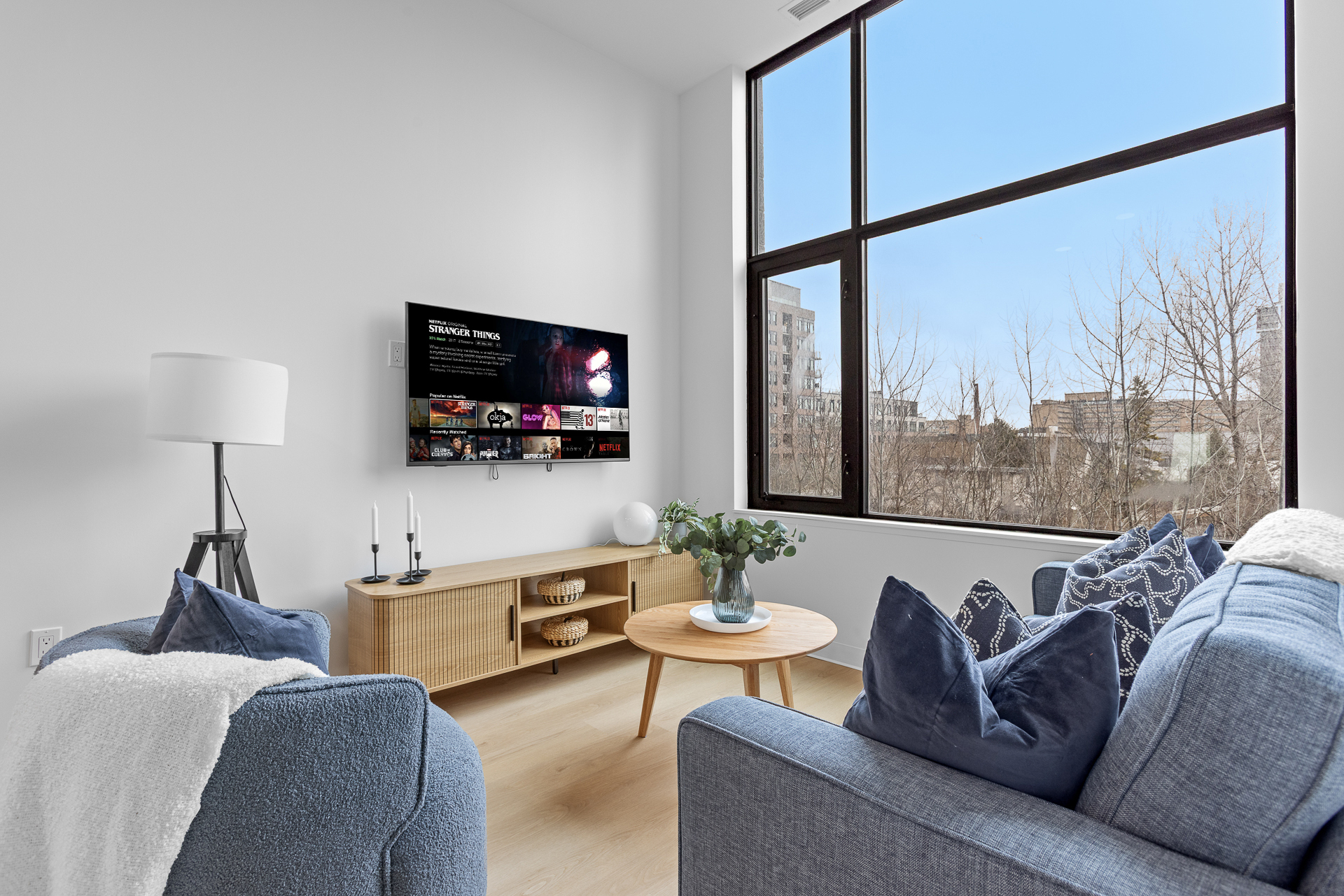 Znith suite