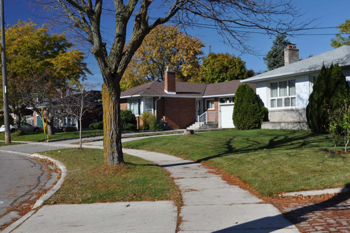 Image-Toronto-Etobicoke Bungalows Streetscape