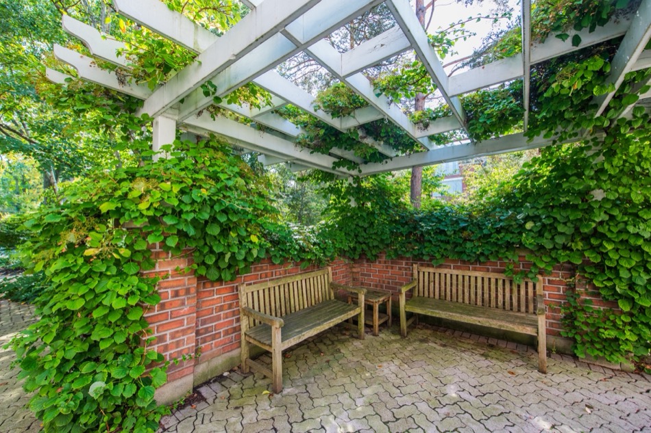 94 Crescent Rd Toronto Townhouses Front Garden Seating Area