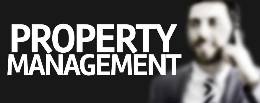 Rental Property Management for Team Kalia's Investor Clients