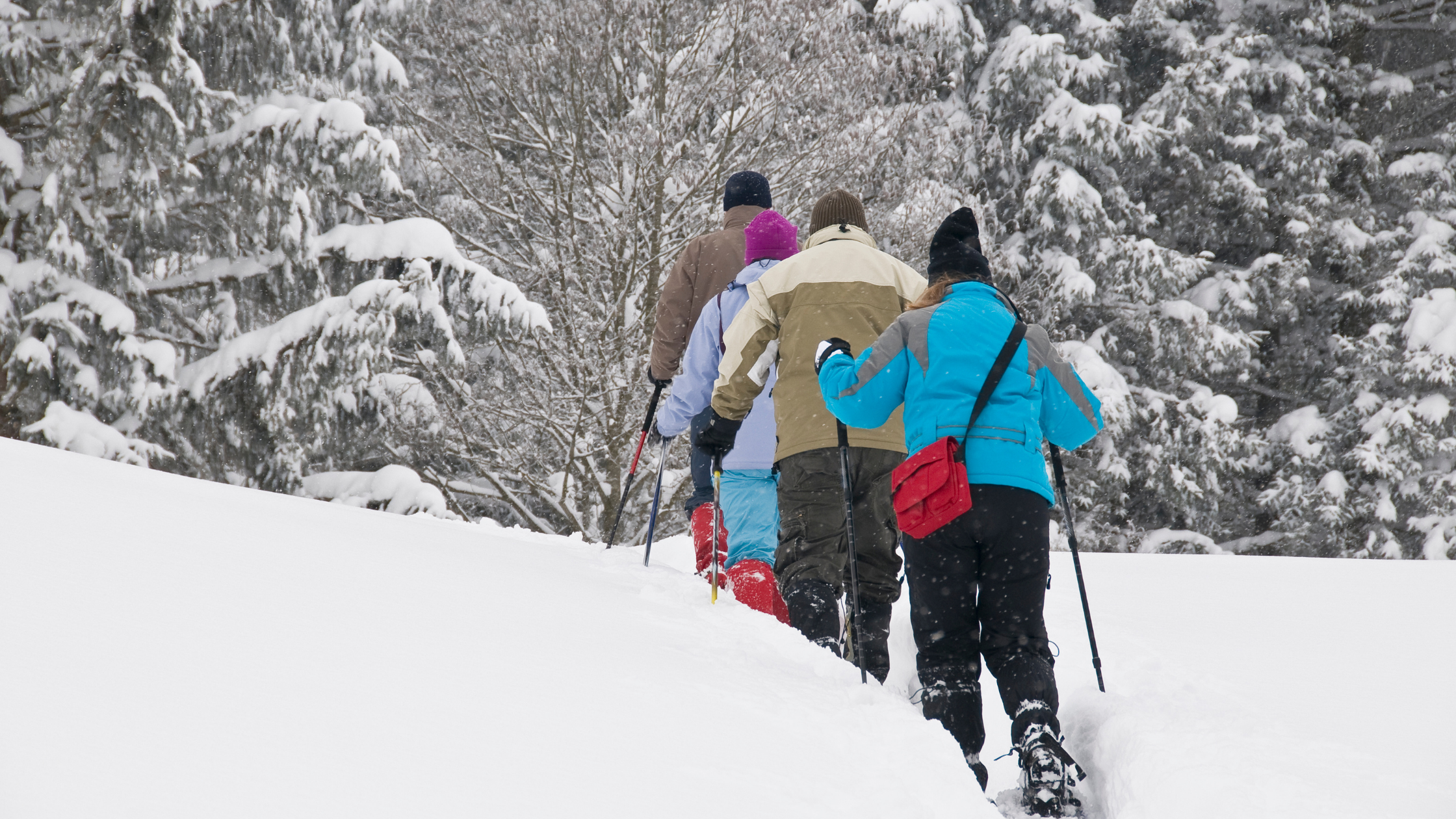 cottage snow shoeing