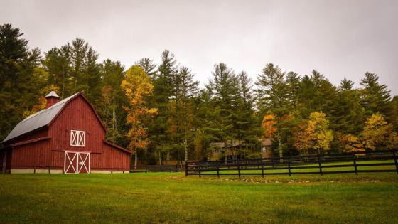 Country homes, hobby farms