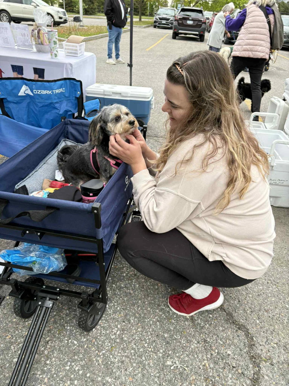 Walk for Dog Guides