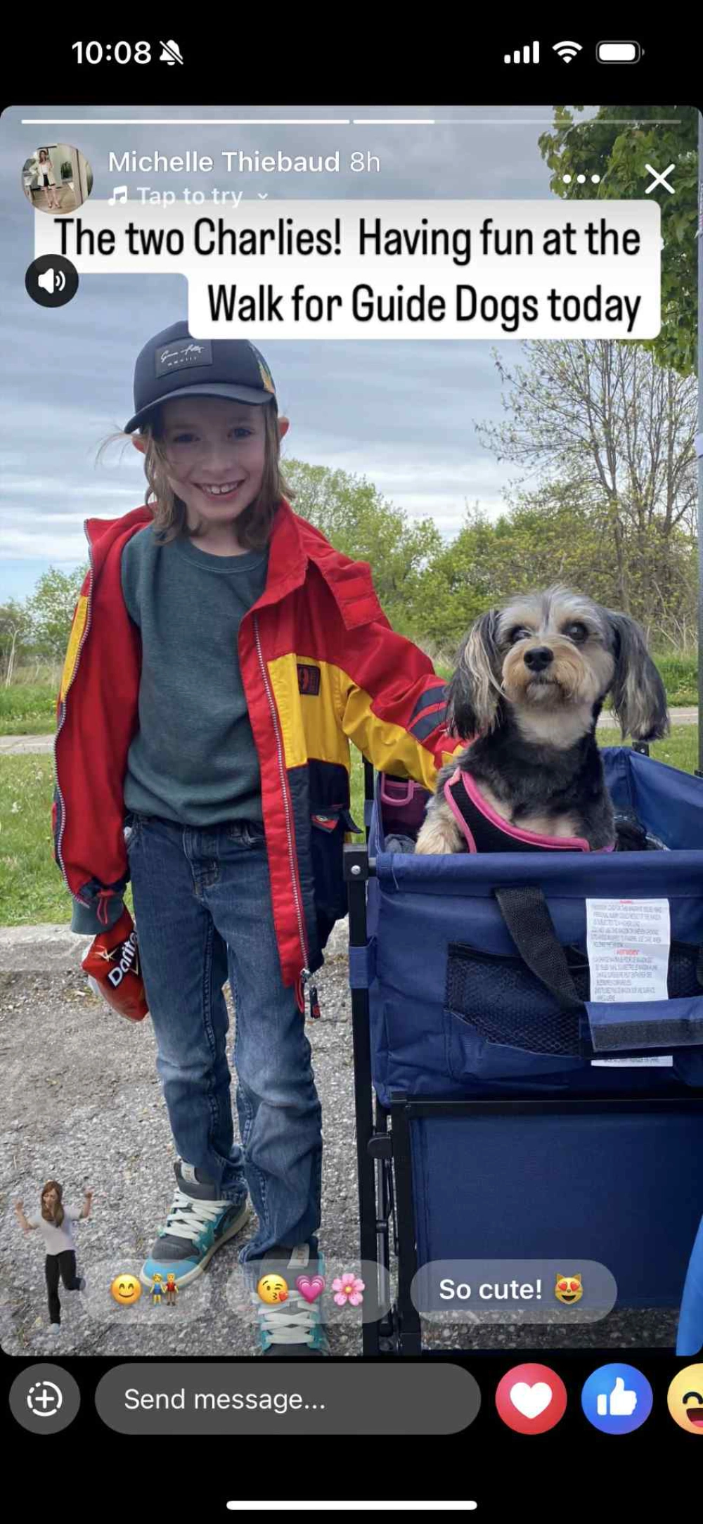 Walk for Dog Guides