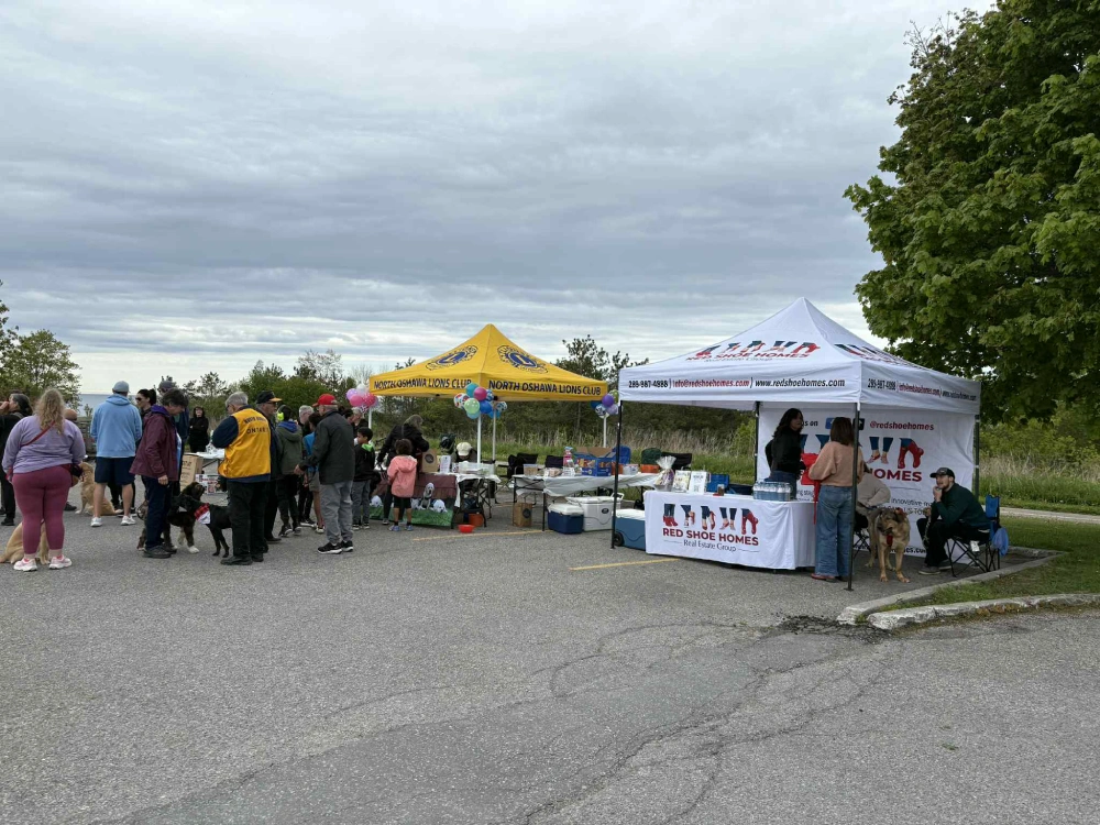 Walk for Dog Guides