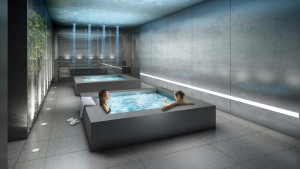 Link 2 Spa Inspired Wellness Centre Plunge Pools