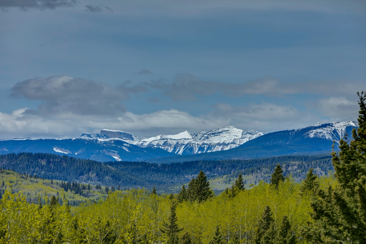 Bragg Creek Homes and Land