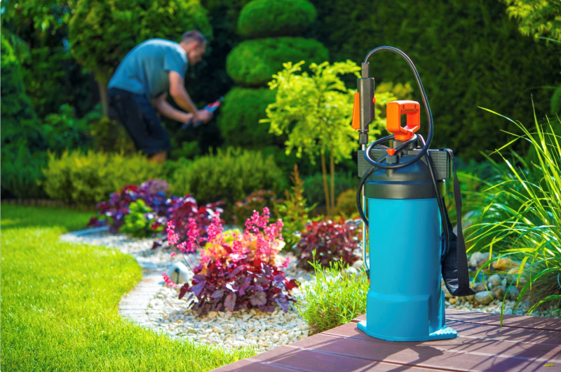Don't Let Summer Bite: DIY Pest-Proofing Tips That Actually Work