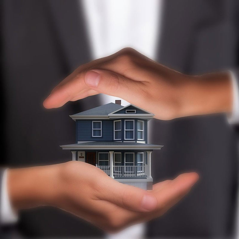Investment Consultation