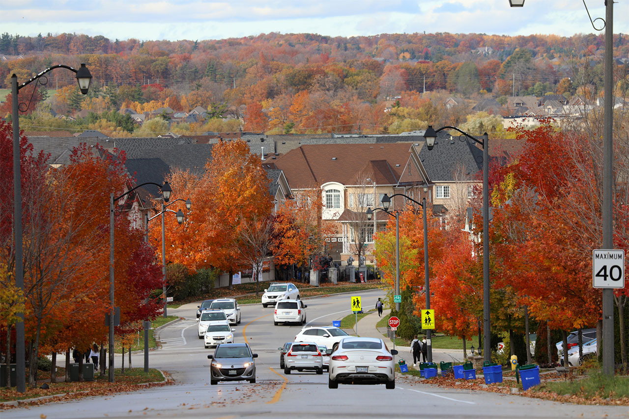Forest Hill