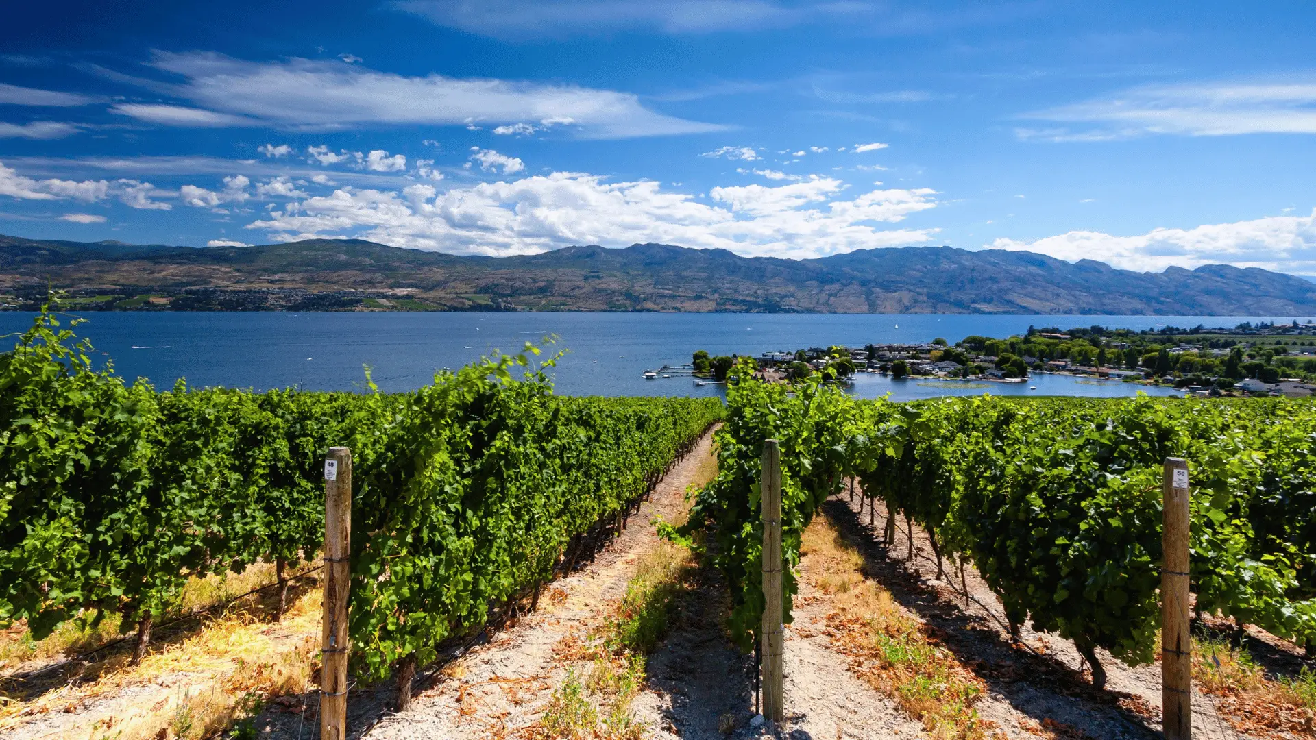 Discover lakefront living, vibrant communities, and homes designed for every lifestyle.