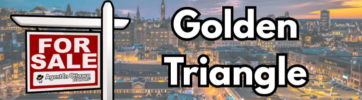 Golden Triangle homes for sale