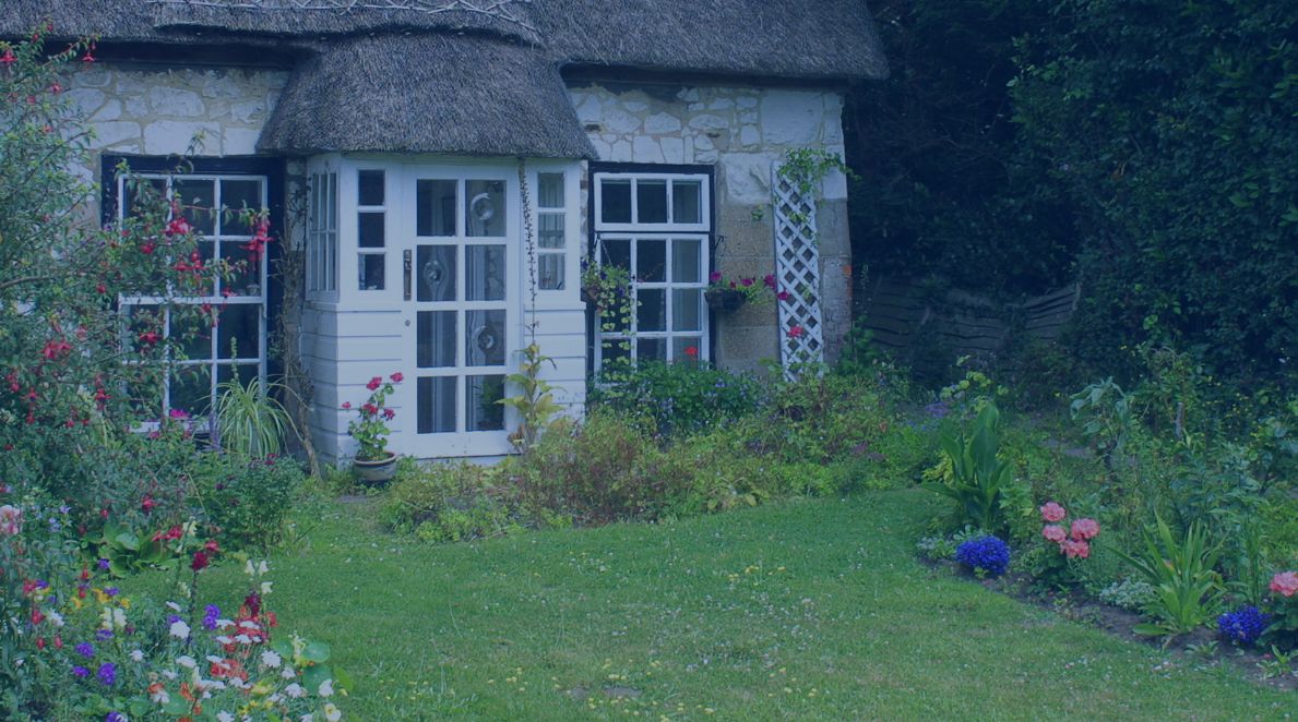 Navan Real Estate Market Report