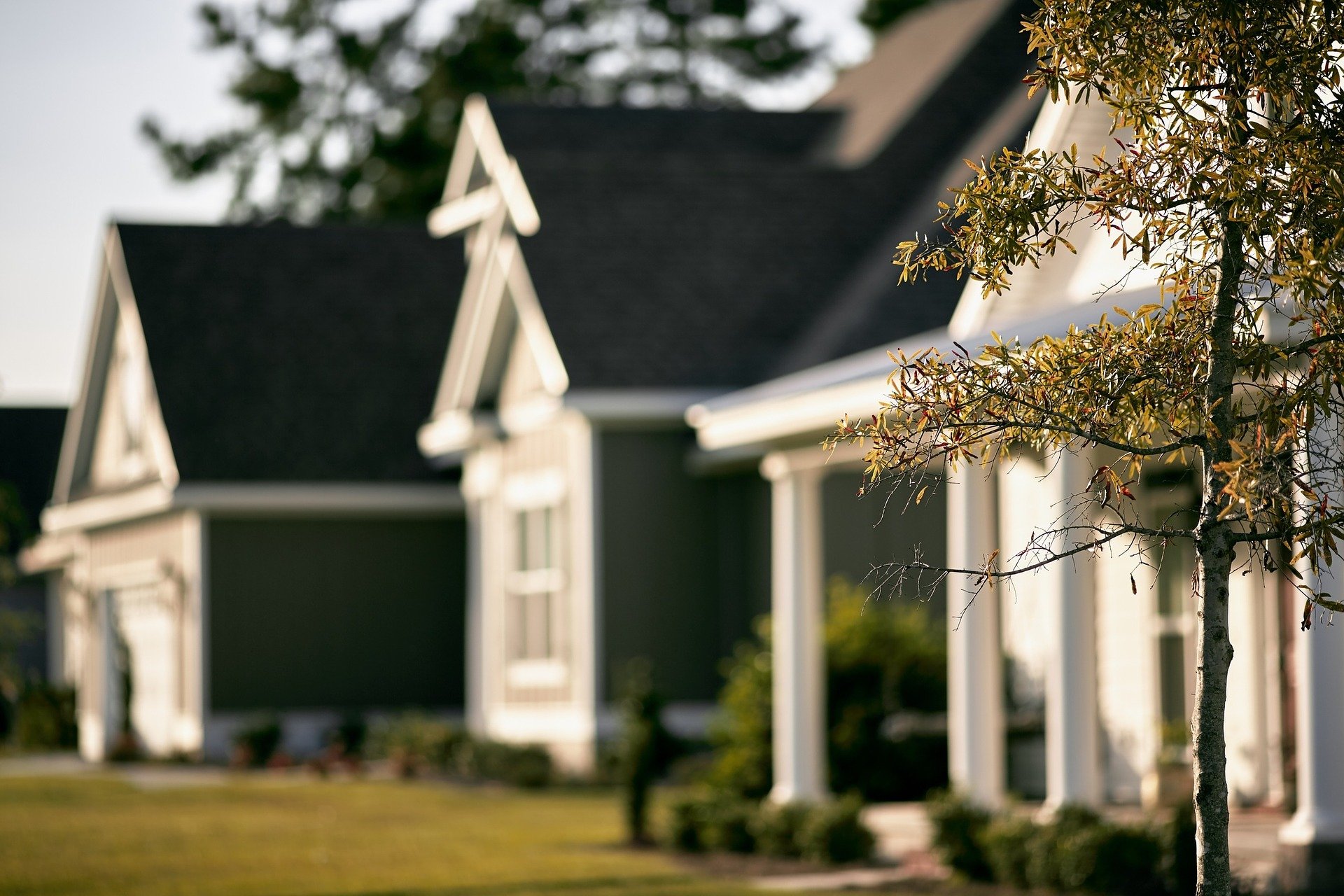 Your Neighbourhood Sales