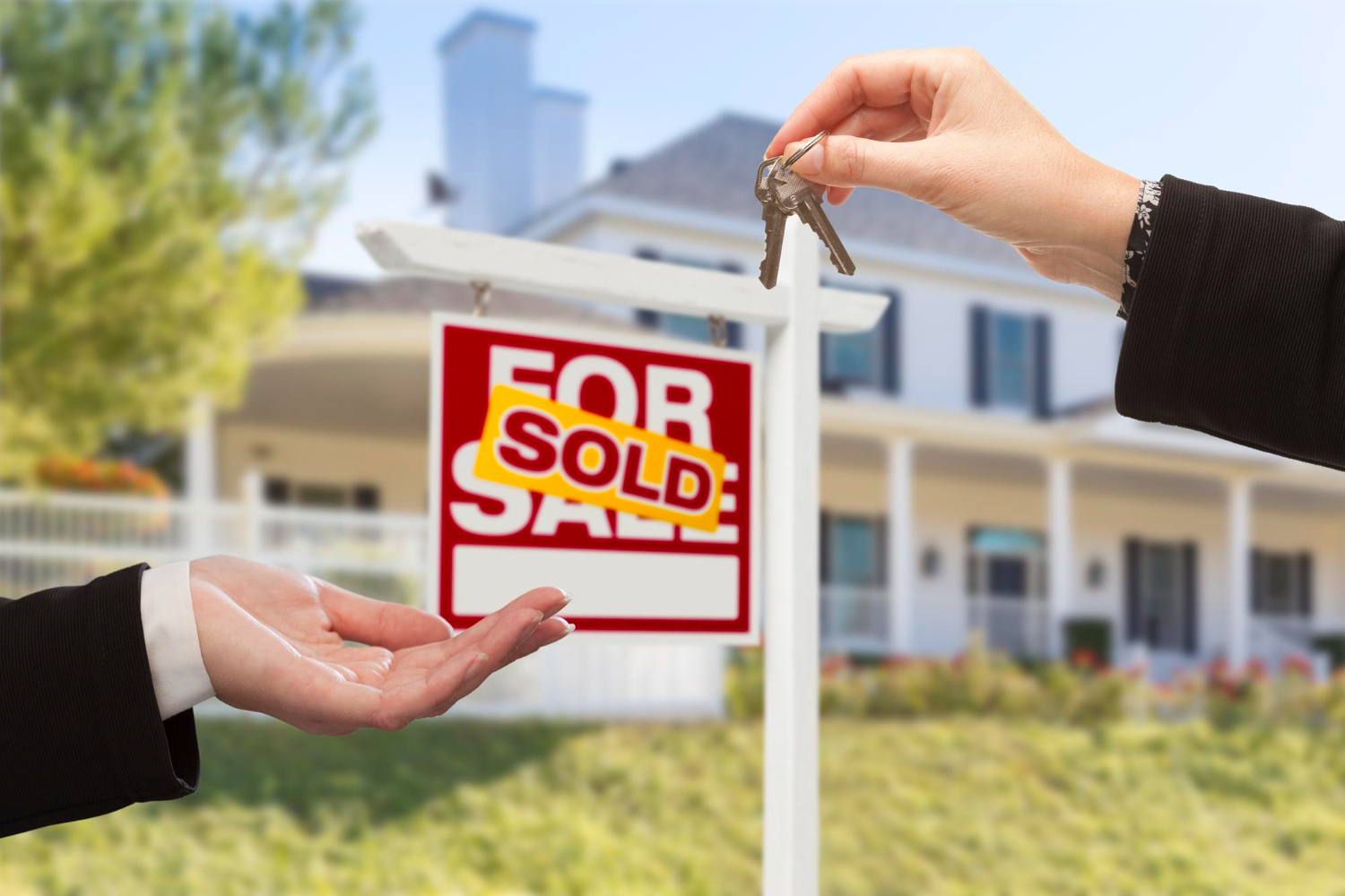 Sold Listings