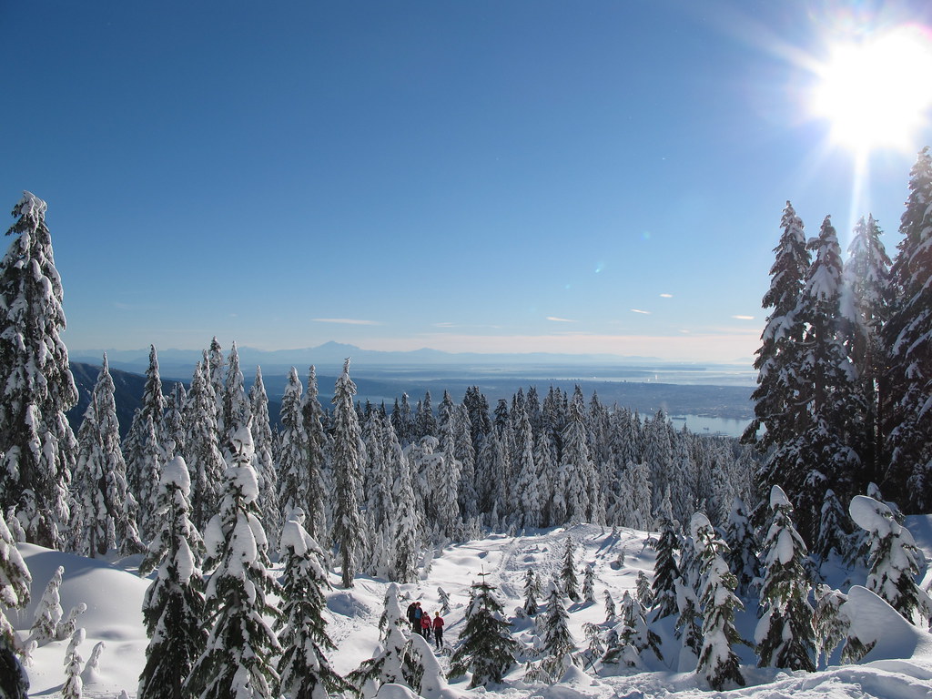 Vancouver in Winter