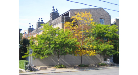 34 Claremont St