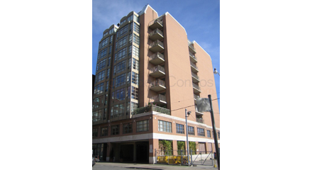 159 Frederick St