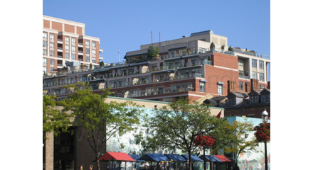 39 Jarvis St