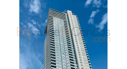 18 Harbour St 16 Harbour St