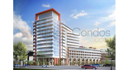 Local at Fort York Condo