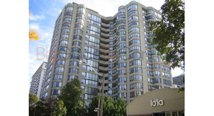 25 Maitland St