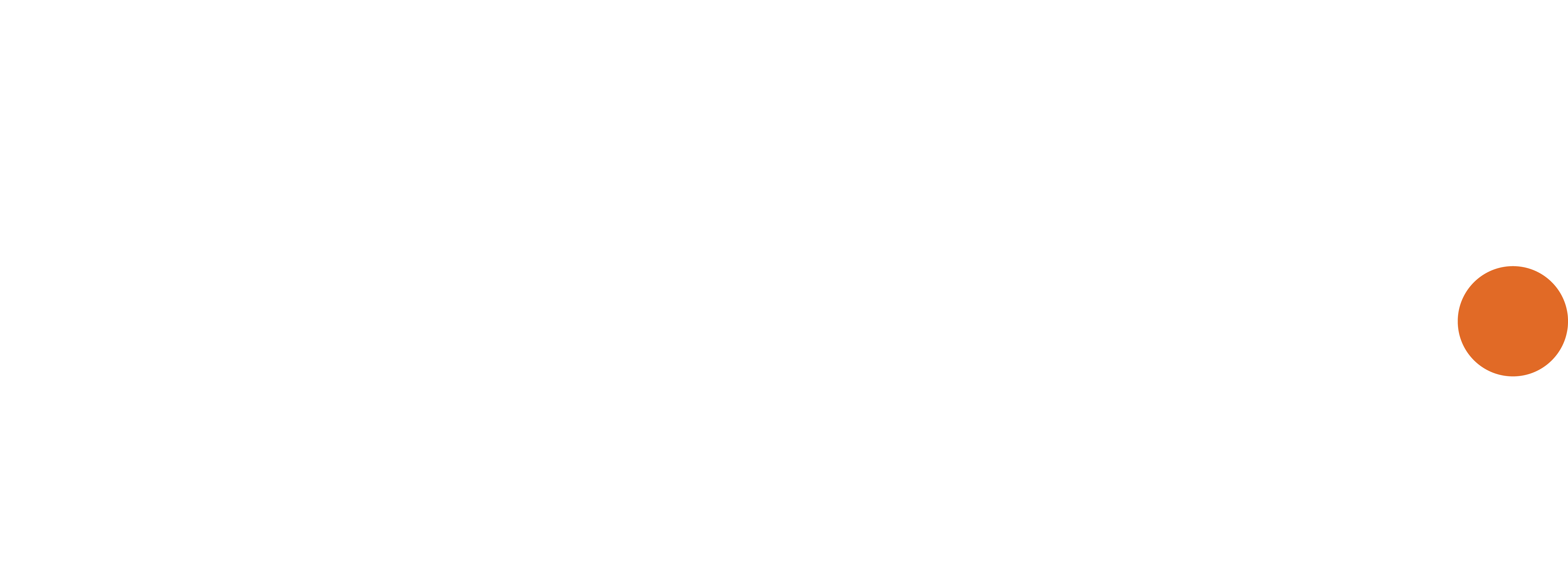 Footer Logo
