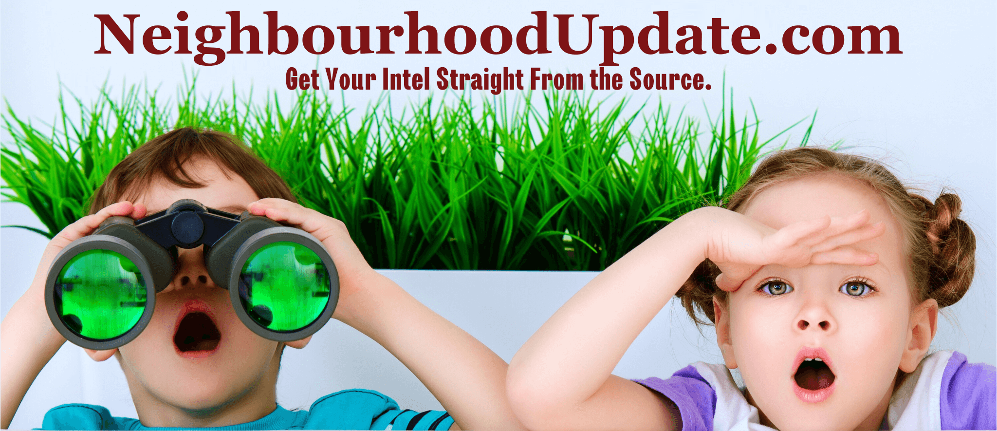 Stay up-to-date on neighbourhood market activity…  First-hand "intel" directly from the MLS® Data Feed   ALL the Listings: New, Price Changes, & SOLDS   Automatically   As often as you prefer: Multiple times daily, 1x / day, Weekly, or Monthly